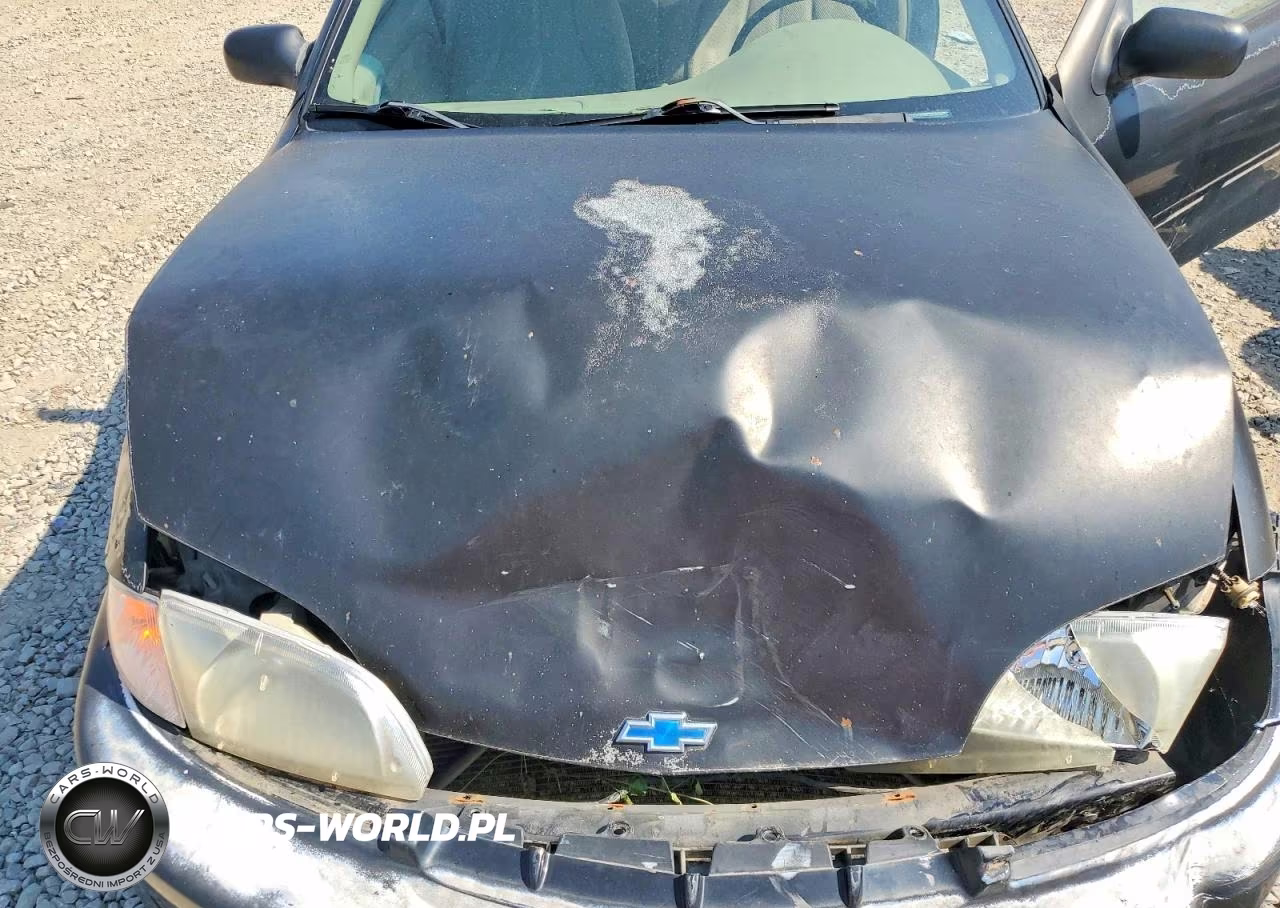 2002 Chevrolet Cavalier Ls VIN:1G1JS124627221450 - 11