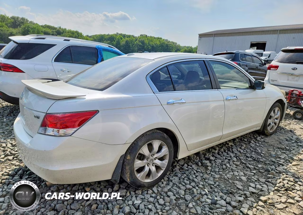 2010 Honda Accord Exl VIN:1HGCP3F81AA004787 - 3