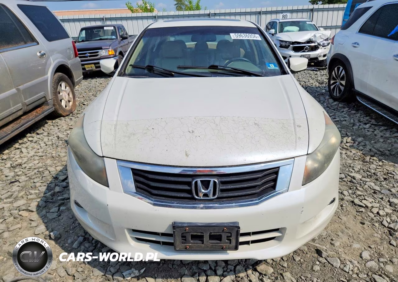 2010 Honda Accord Exl VIN:1HGCP3F81AA004787 - 5