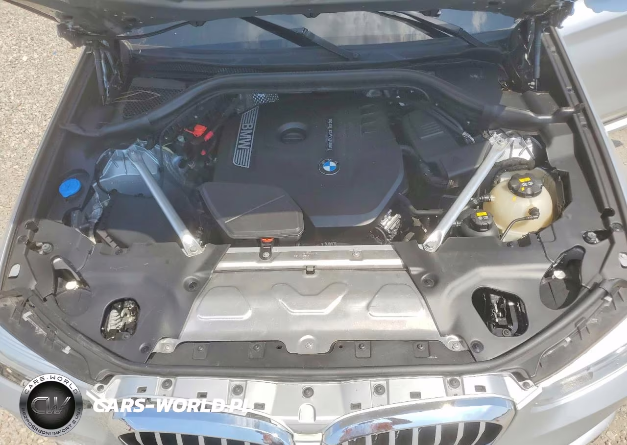 2019 BMW X3 Sdrive30I VIN:5UXTR7C52KLR53442 - 12