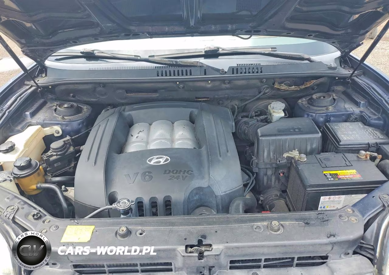 2005 Hyundai Santa Fe Gls VIN:KM8SC13D75U875267 - 11