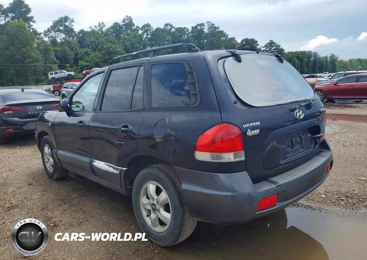 2005 Hyundai Santa Fe Gls VIN:KM8SC13D75U875267 - 2