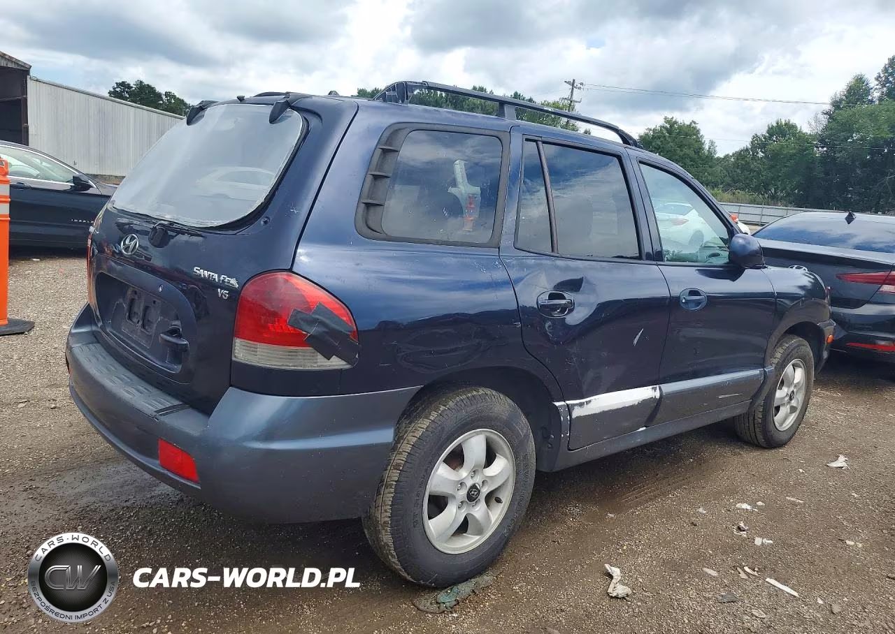 2005 Hyundai Santa Fe Gls VIN:KM8SC13D75U875267 - 3