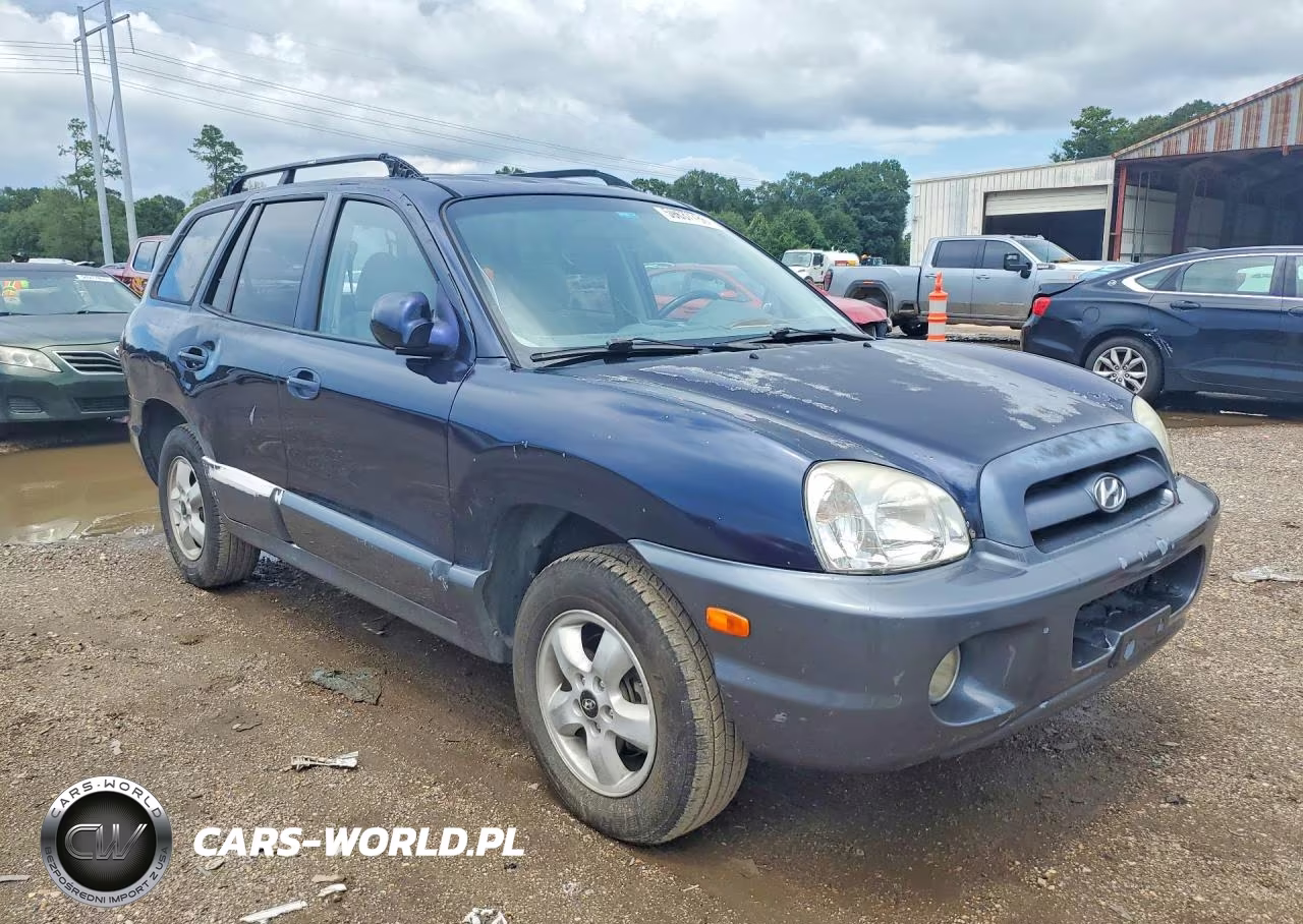 2005 Hyundai Santa Fe Gls VIN:KM8SC13D75U875267 - 4