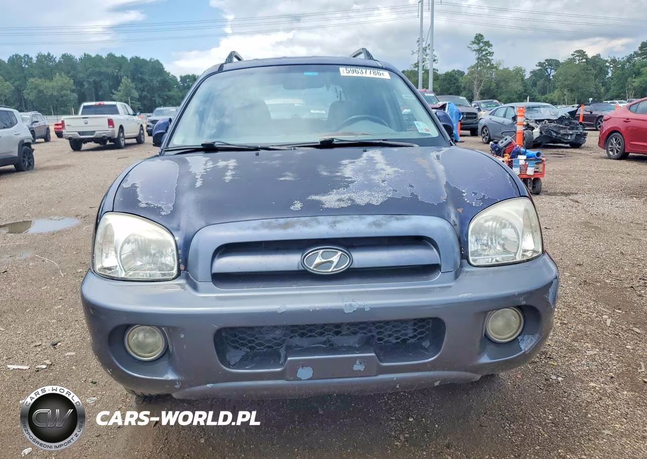 2005 Hyundai Santa Fe Gls VIN:KM8SC13D75U875267 - 5