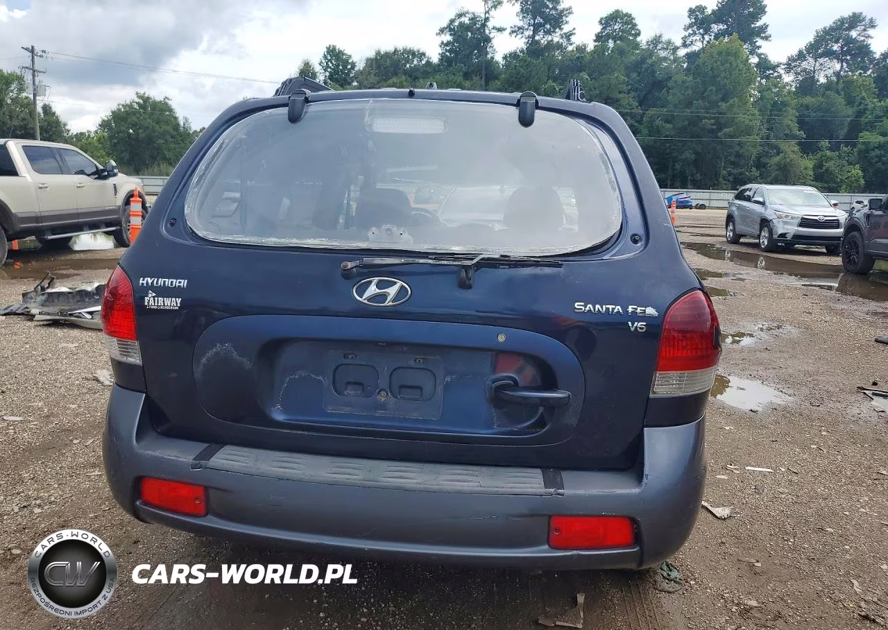 2005 Hyundai Santa Fe Gls VIN:KM8SC13D75U875267 - 6