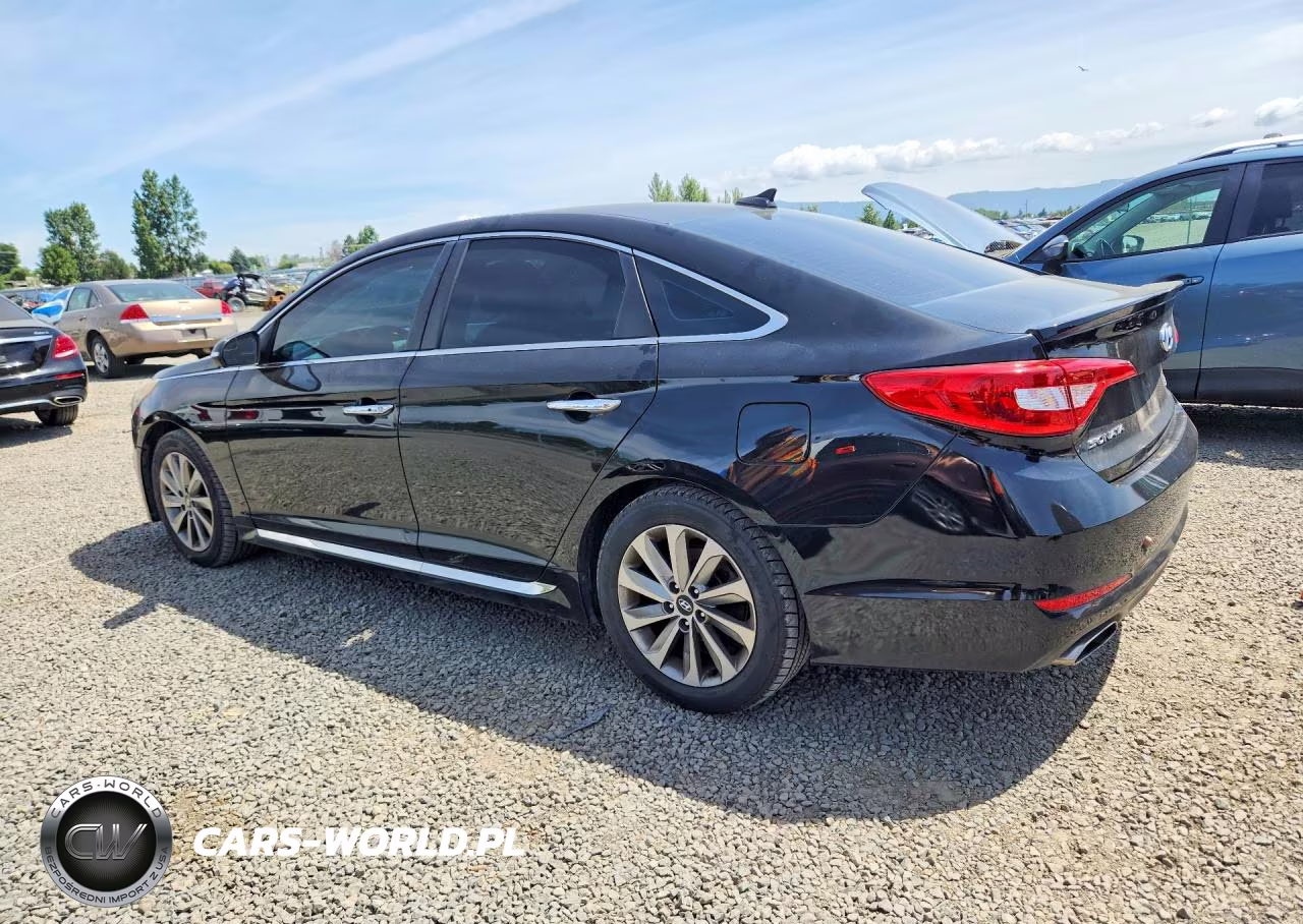 2017 Hyundai Sonata Sport VIN:5NPE34AF9HH442460 - 2