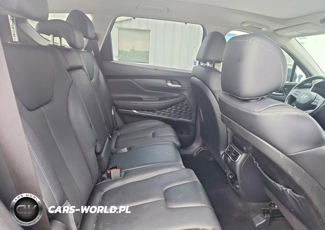 2023 Hyundai Santa Fe Limited VIN:5NMS5DA17PH012519 - 10