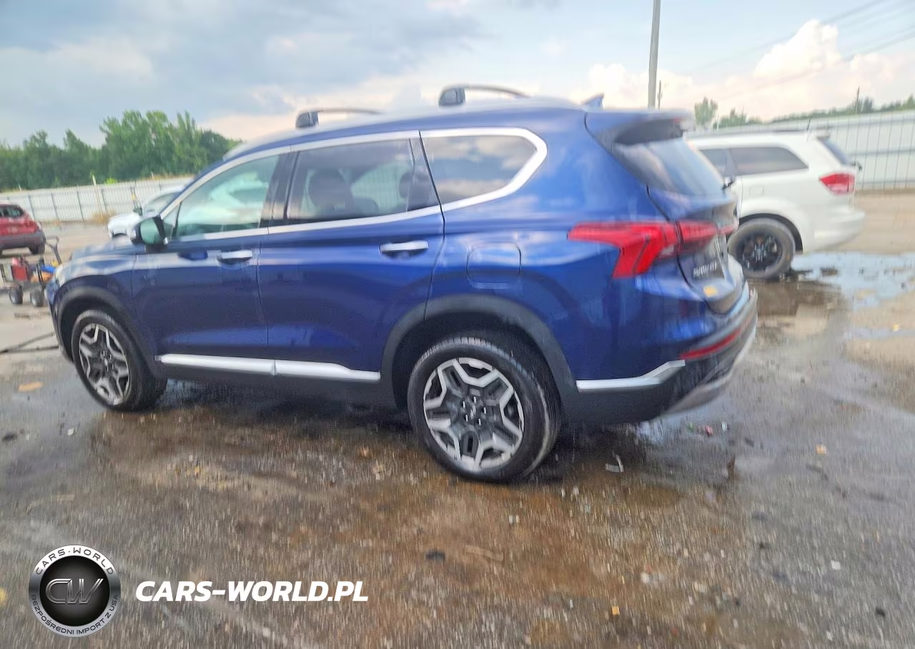 2023 Hyundai Santa Fe Limited VIN:5NMS5DA17PH012519 - 2