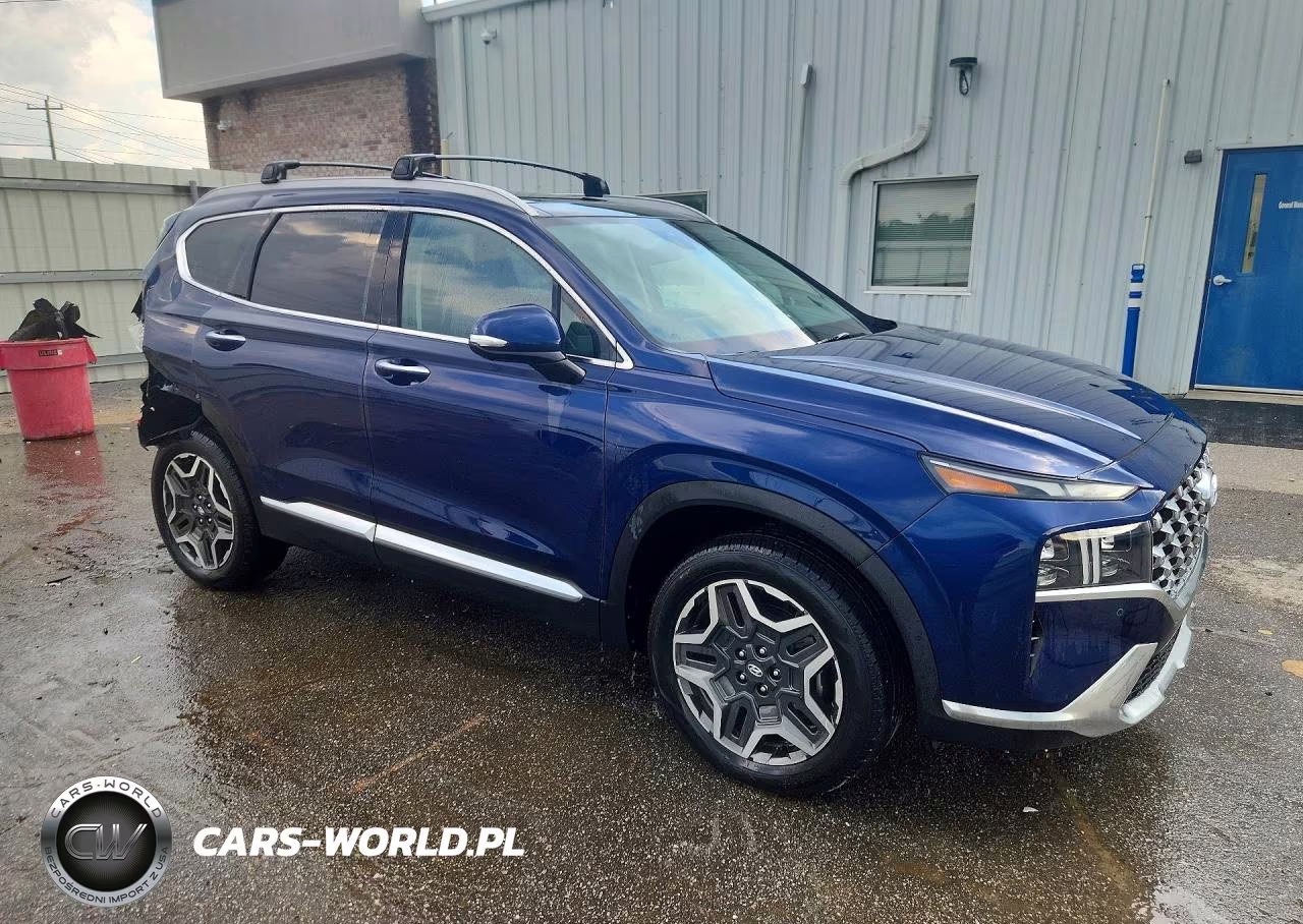 2023 Hyundai Santa Fe Limited VIN:5NMS5DA17PH012519 - 4
