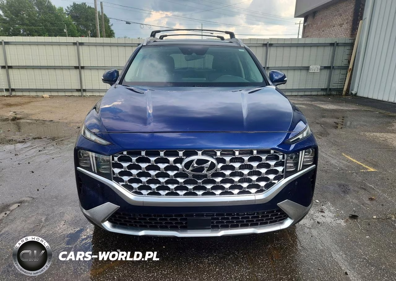 2023 Hyundai Santa Fe Limited VIN:5NMS5DA17PH012519 - 5