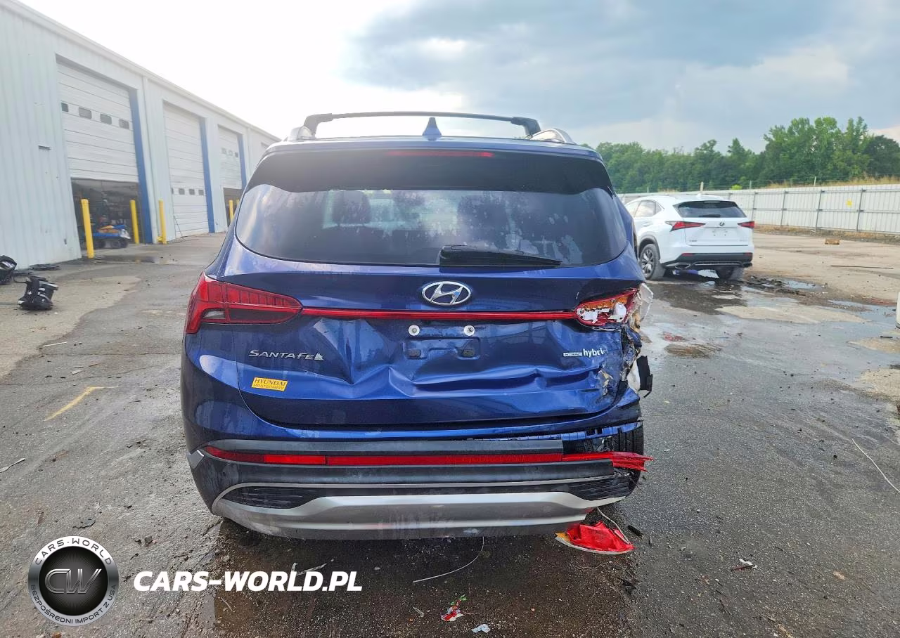 2023 Hyundai Santa Fe Limited VIN:5NMS5DA17PH012519 - 6