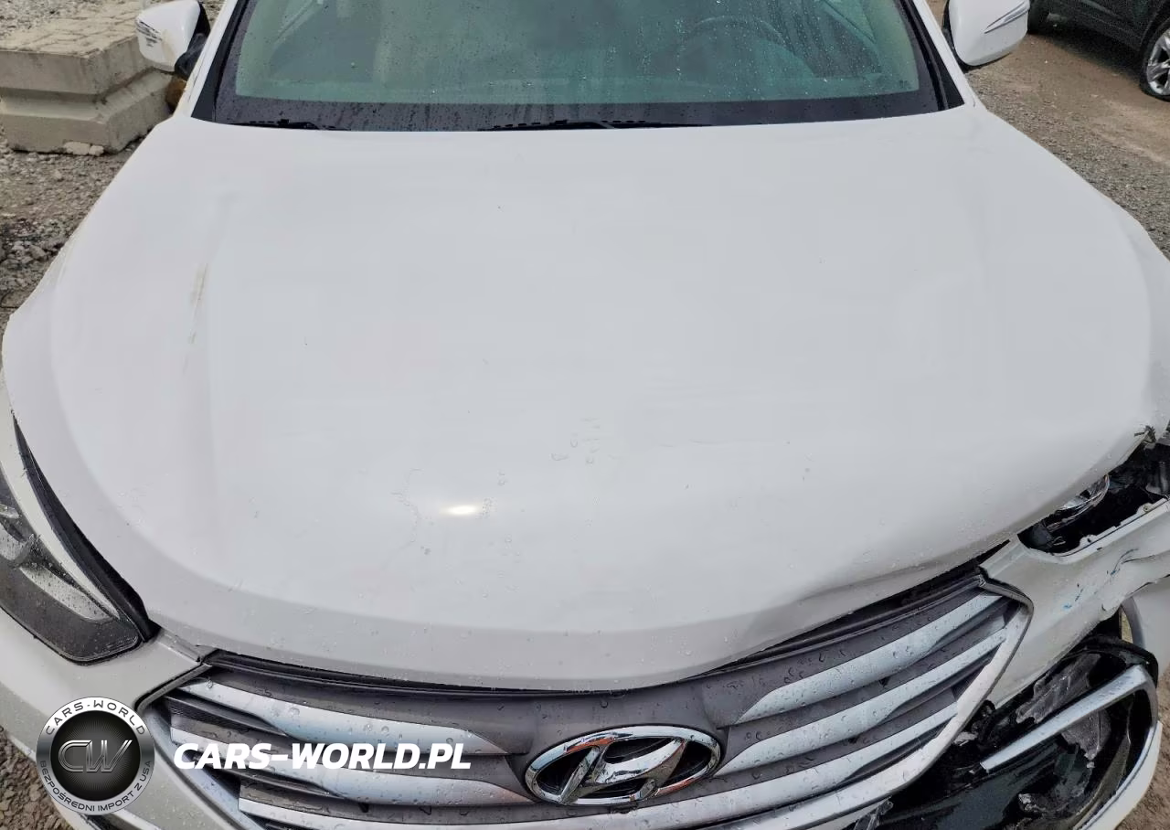 2018 Hyundai Santa Fe Sport 2.0T Ultimate VIN:5XYZW4LA1JG564284 - 11