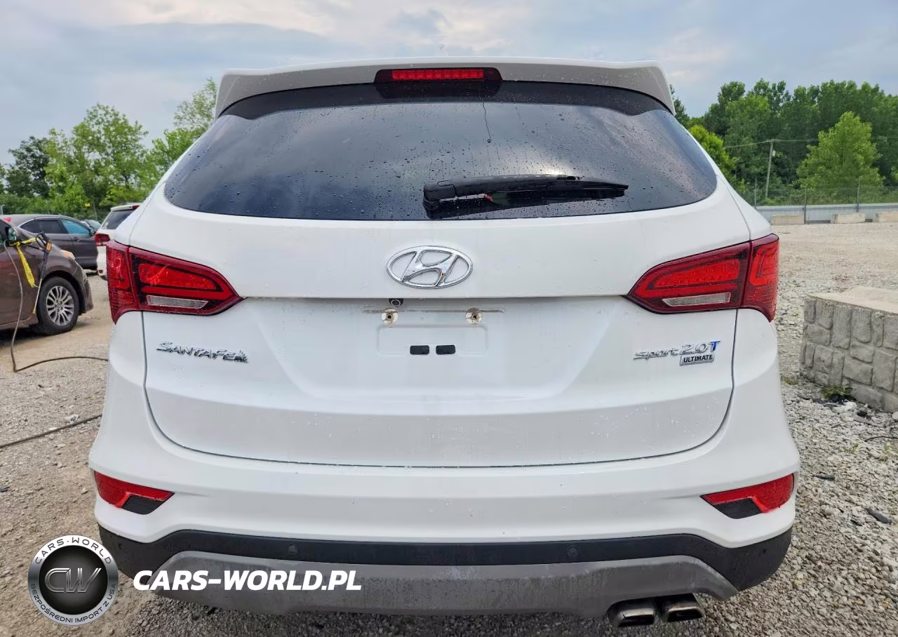 2018 Hyundai Santa Fe Sport 2.0T Ultimate VIN:5XYZW4LA1JG564284 - 6