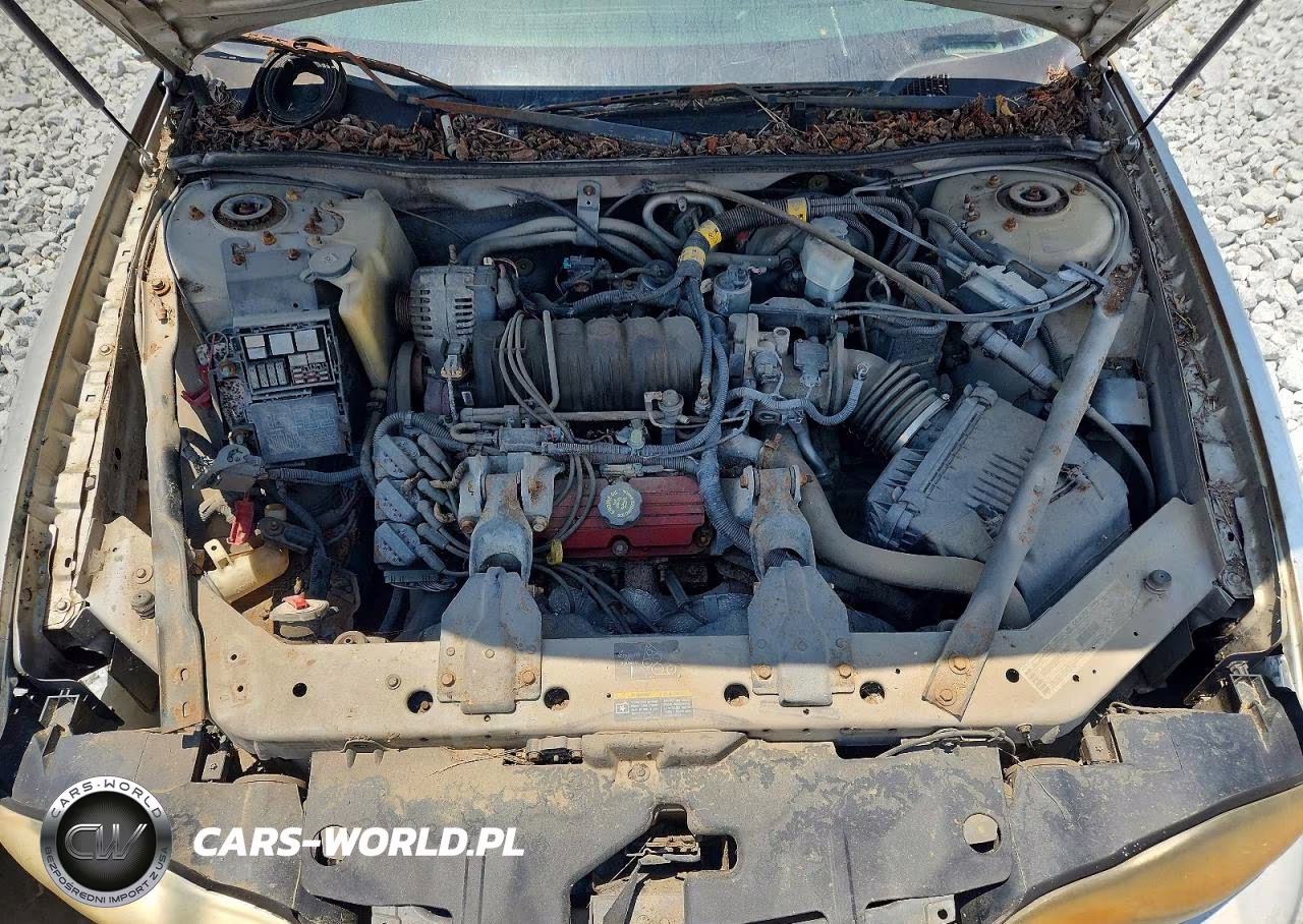 2002 Chevrolet Monte Carlo Ss VIN:2G1WX15K229287610 - 11