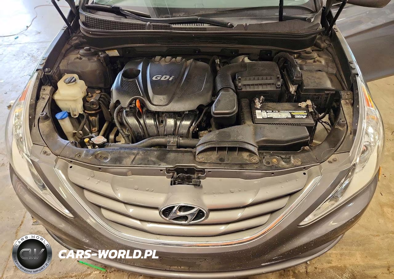 2011 Hyundai Sonata Gls VIN:5NPEB4AC5BH177066 - 11