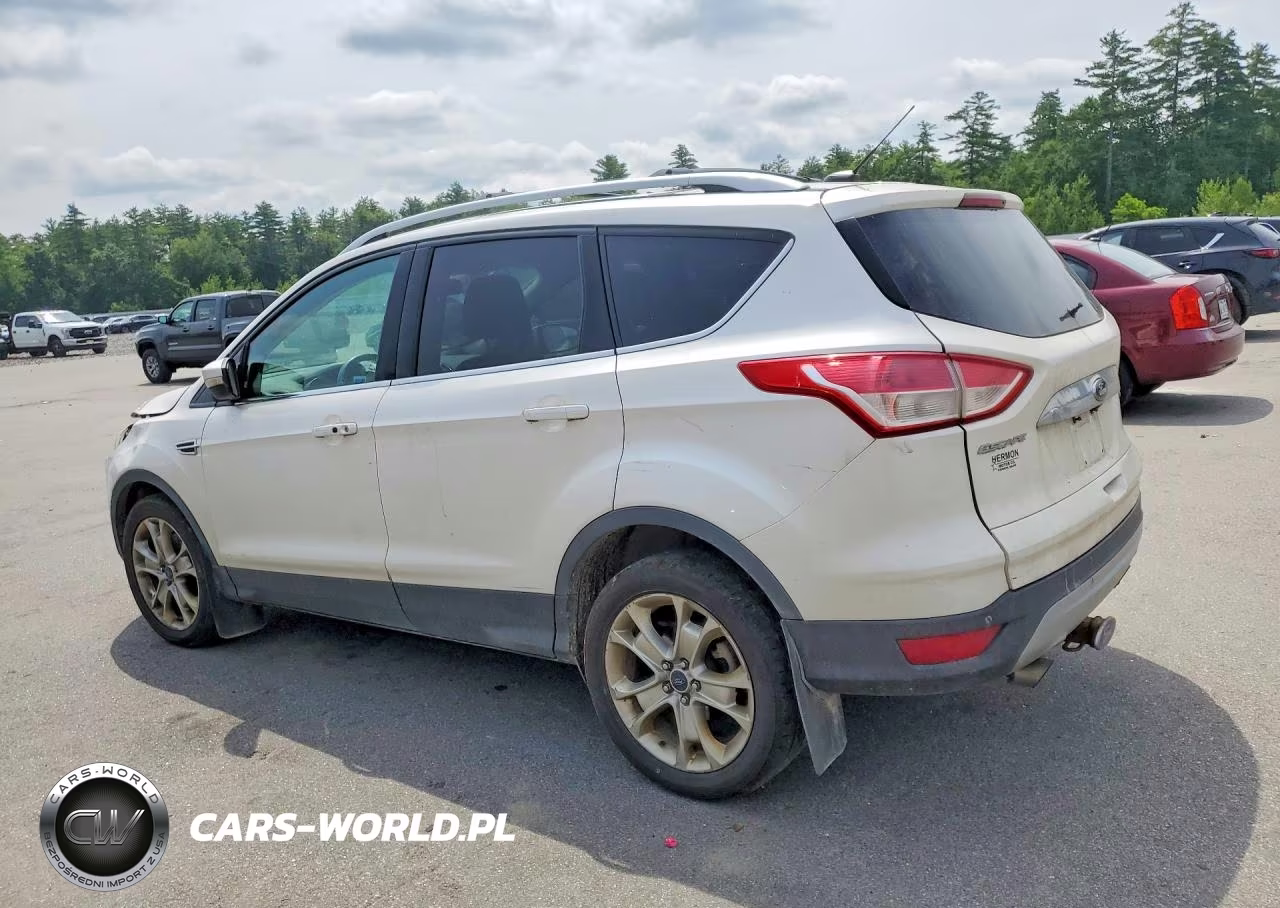 2014 Ford Escape Titanium VIN:1FMCU9J90EUB75427 - 2