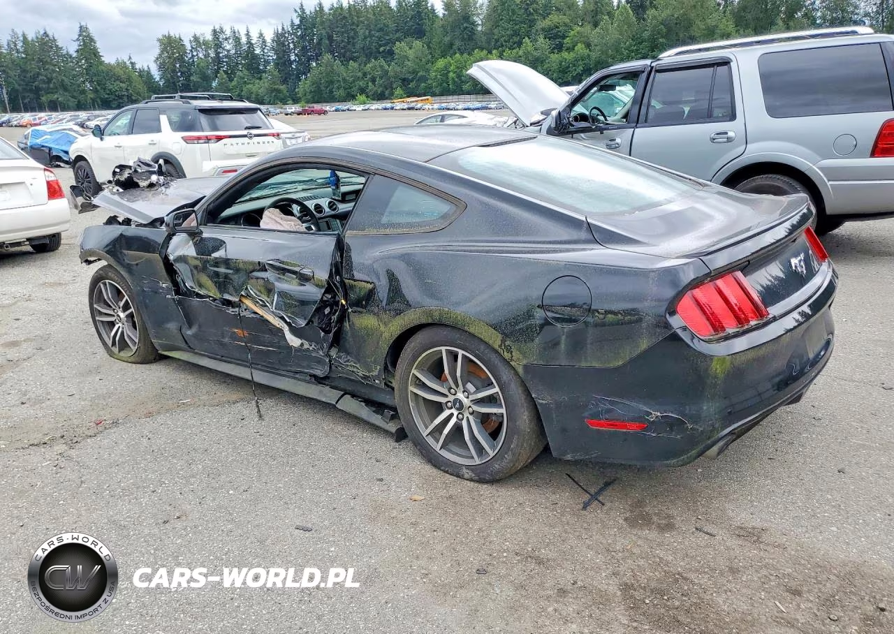 2017 Ford Mustang VIN:1FA6P8TH4H5219487 - 2