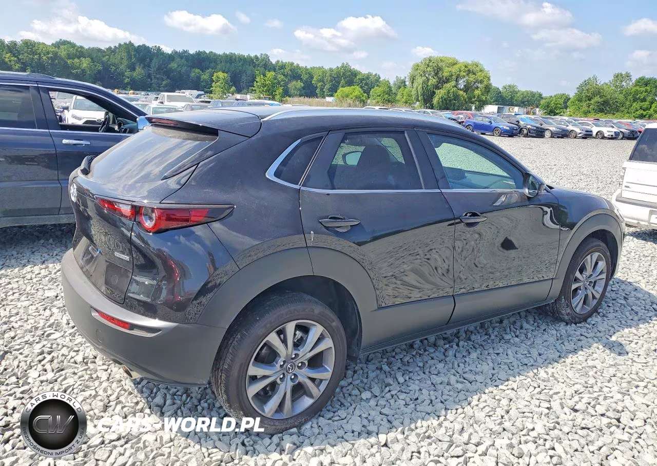 2025 Mazda Cx-30 Preferred VIN:3MVDMBCM2SM841977 - 3