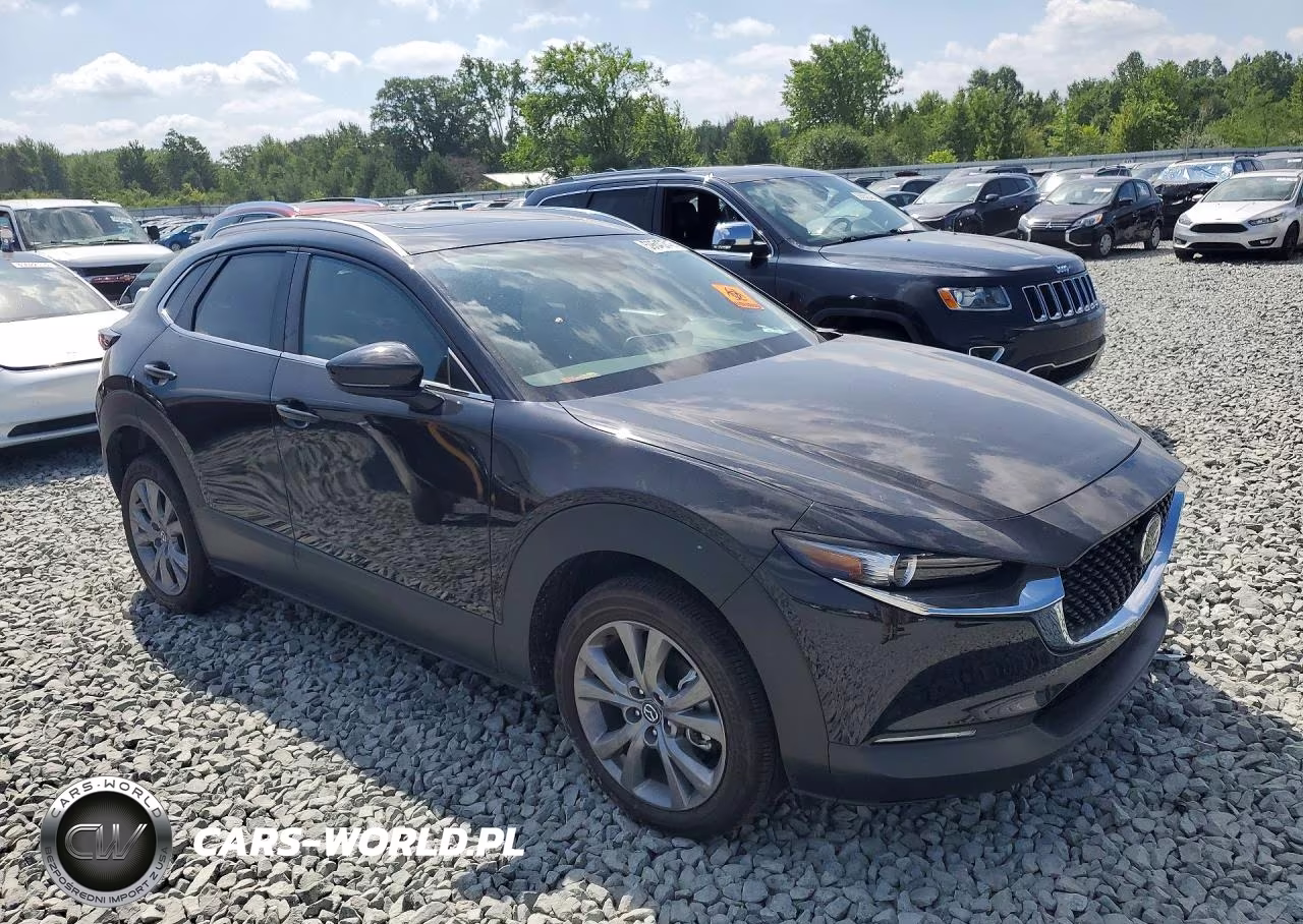 2025 Mazda Cx-30 Preferred VIN:3MVDMBCM2SM841977 - 4