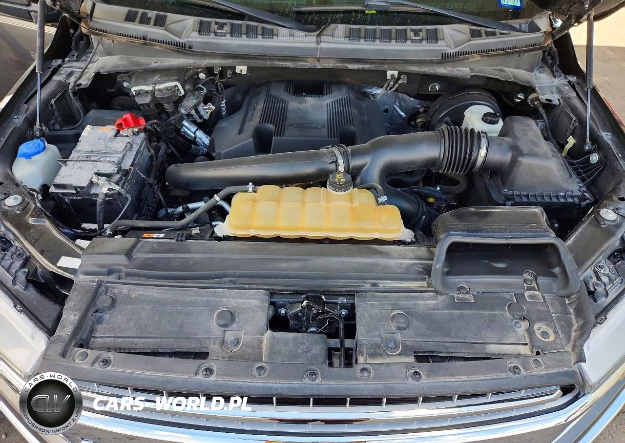 2019 Ford F150 Supercrew VIN:1FTEW1C40KKC84469 - 11