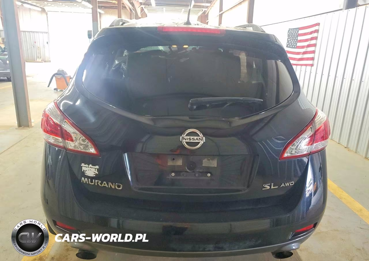 2013 Nissan Murano S VIN:JN8AZ1MW2DW319440 - 6