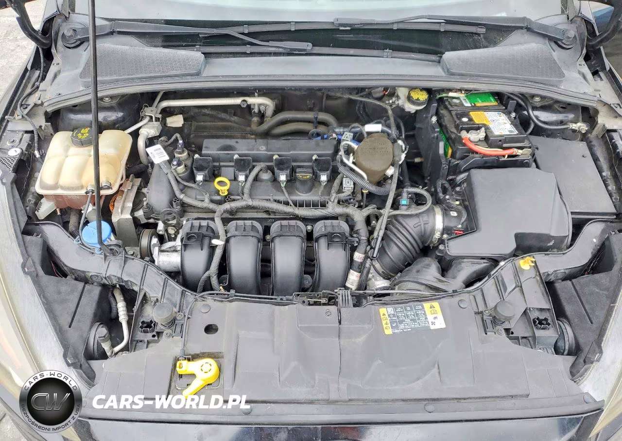 2016 Ford Focus Se VIN:1FADP3F21GL291243 - 11