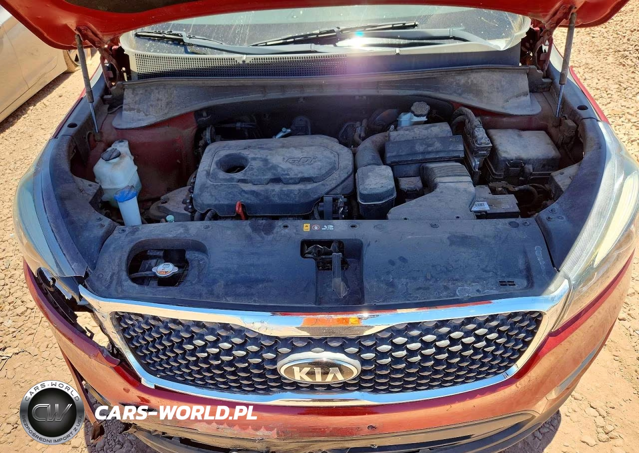 2016 Kia Sorento Lx VIN:5XYPGDA34GG035445 - 12
