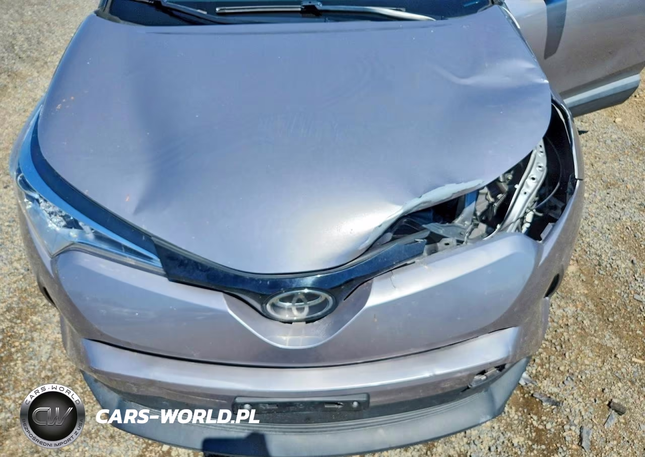 2019 Toyota C-Hr Xle VIN:JTNKHMBX7K1060840 - 11