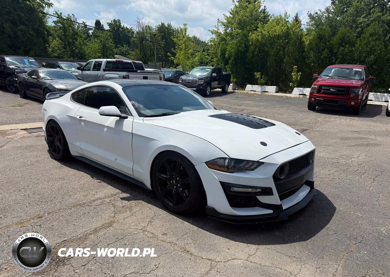 2019 Ford Mustang Gt – zdjęcie 1 z 11