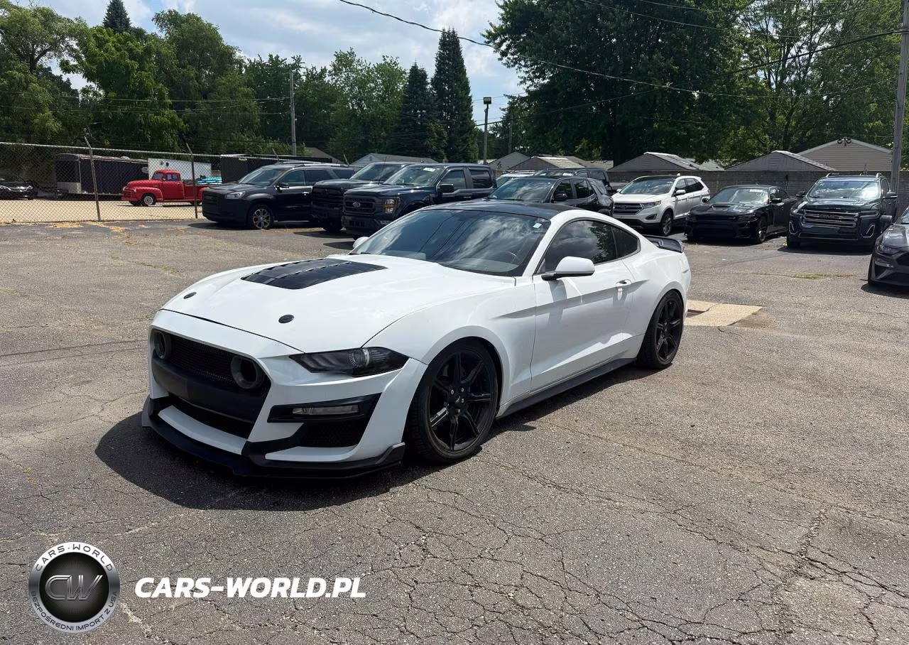 2019 Ford Mustang Gt VIN:1FA6P8CF4K5146692 - 2
