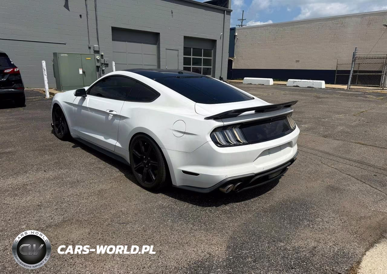 2019 Ford Mustang Gt VIN:1FA6P8CF4K5146692 - 3