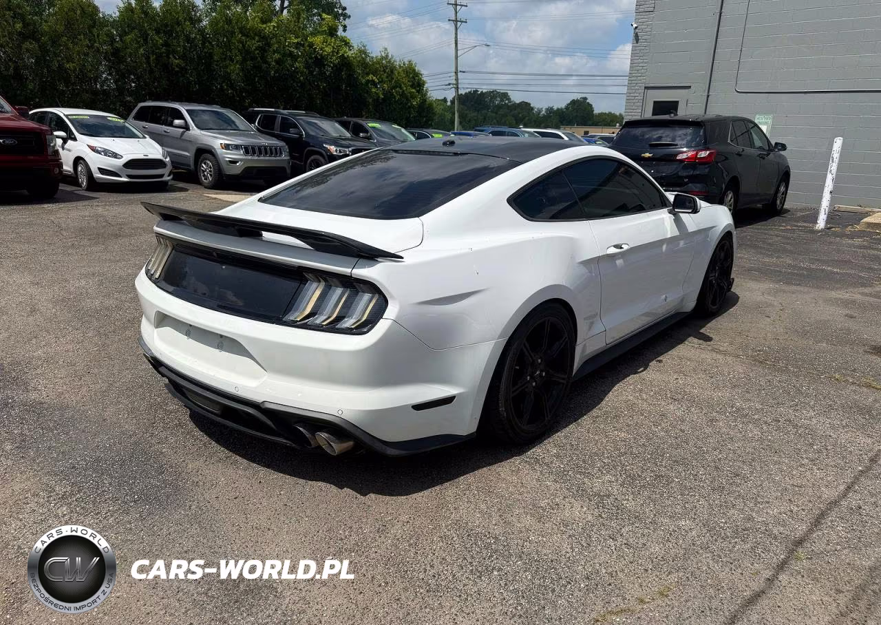 2019 Ford Mustang Gt VIN:1FA6P8CF4K5146692 - 4