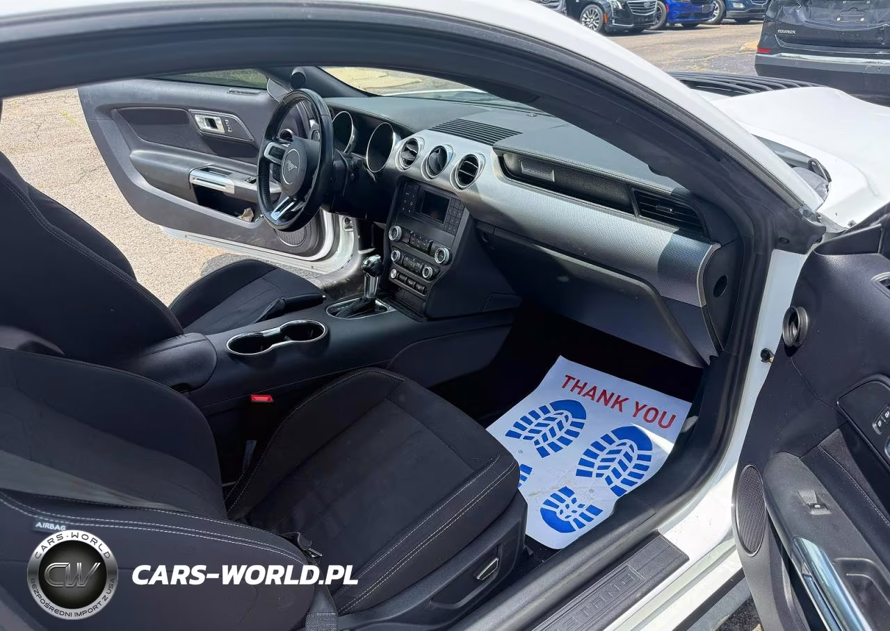 2019 Ford Mustang Gt VIN:1FA6P8CF4K5146692 - 5