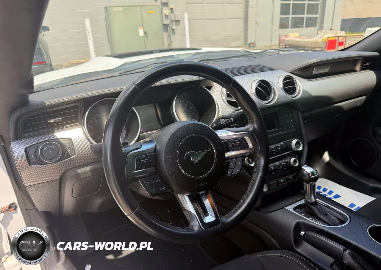 2019 Ford Mustang Gt VIN:1FA6P8CF4K5146692 - 9