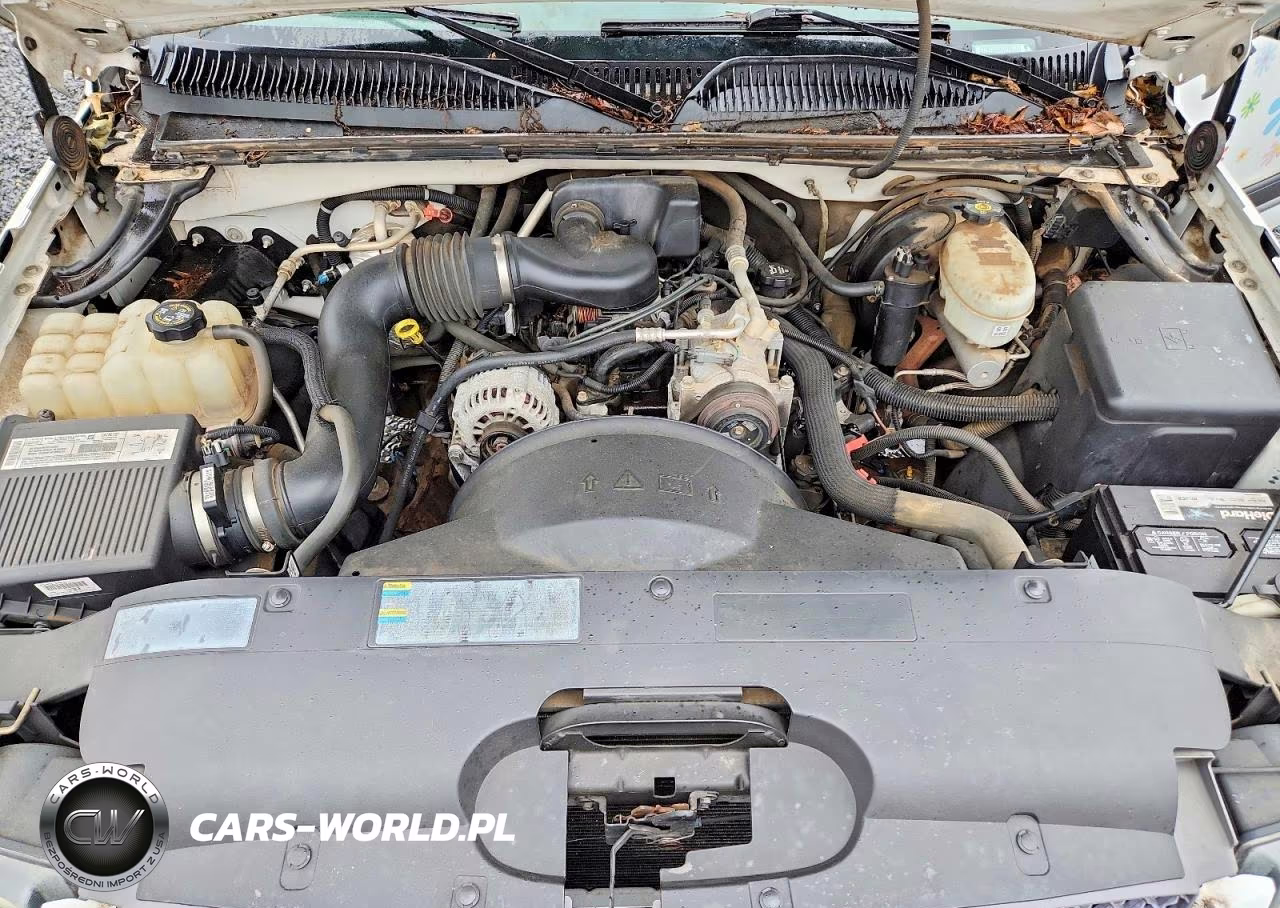 2003 Chev Silverado 1500 VIN:1GCEC14X33Z113094 - 11