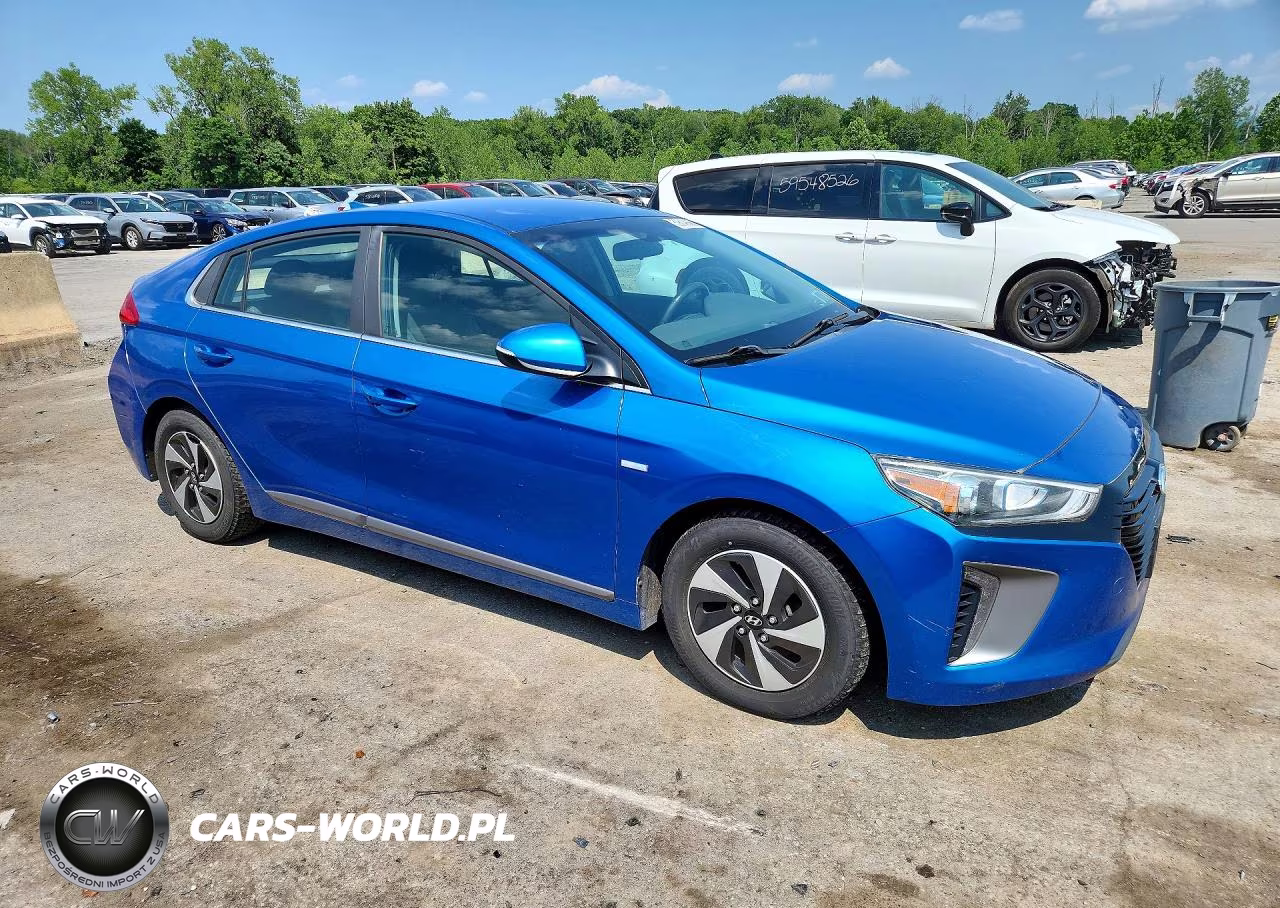 2017 Hyundai Ioniq VIN:KMHC75LC0HU049985 - 4