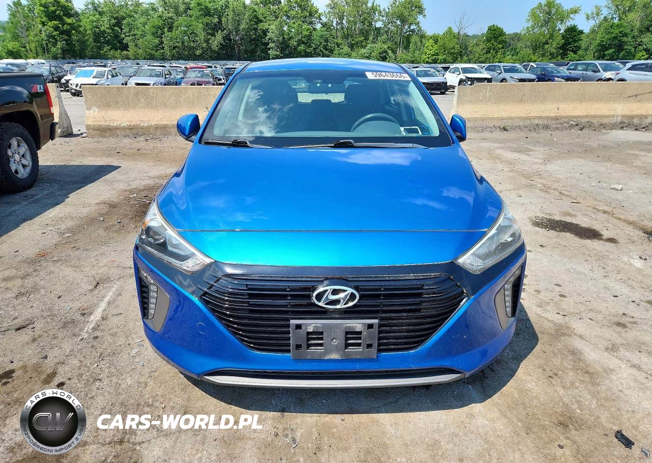 2017 Hyundai Ioniq VIN:KMHC75LC0HU049985 - 5