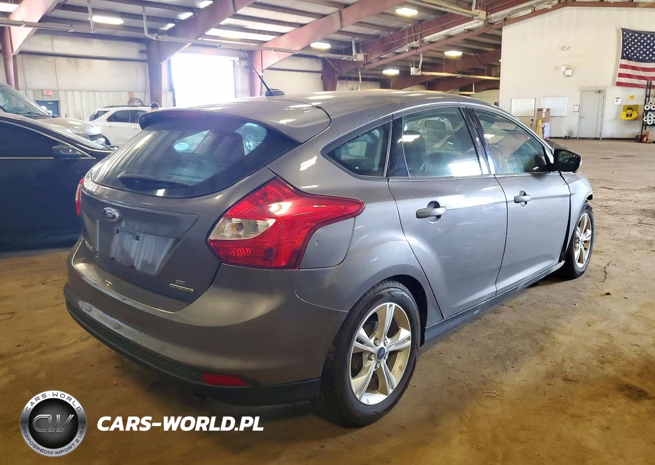 2013 Ford Focus Se VIN:1FADP3K24DL100481 - 3