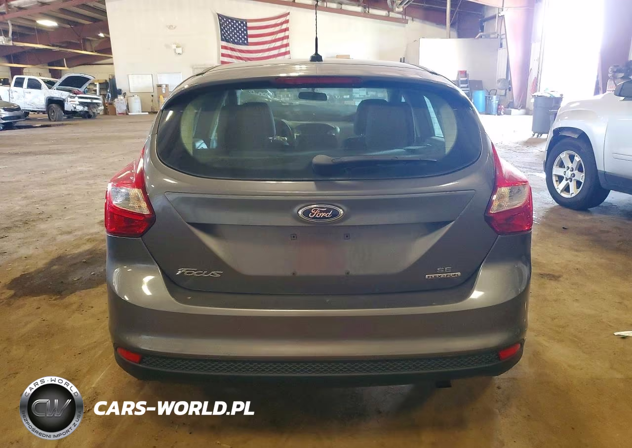 2013 Ford Focus Se VIN:1FADP3K24DL100481 - 6