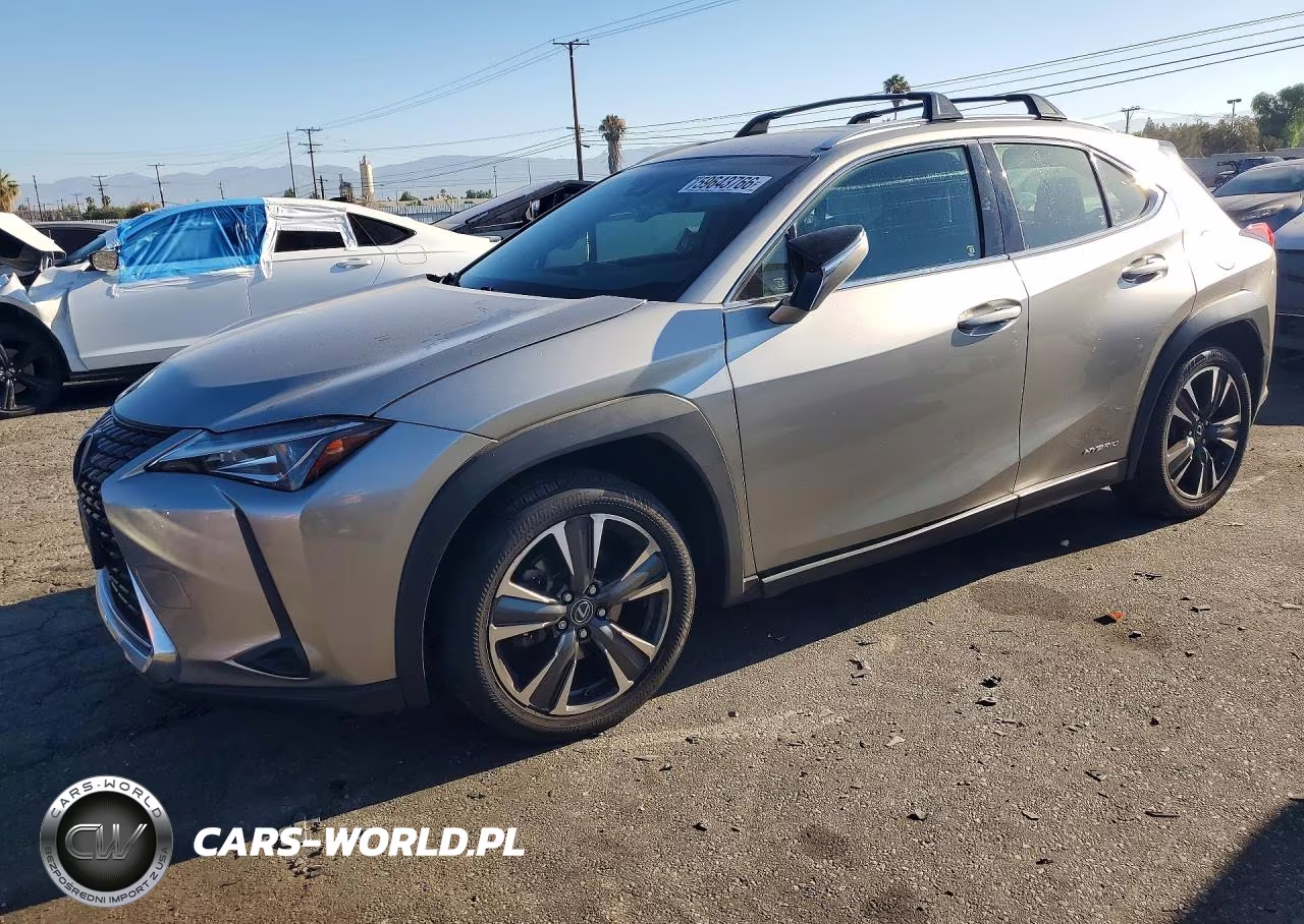 2019 Lexus Ux 250H