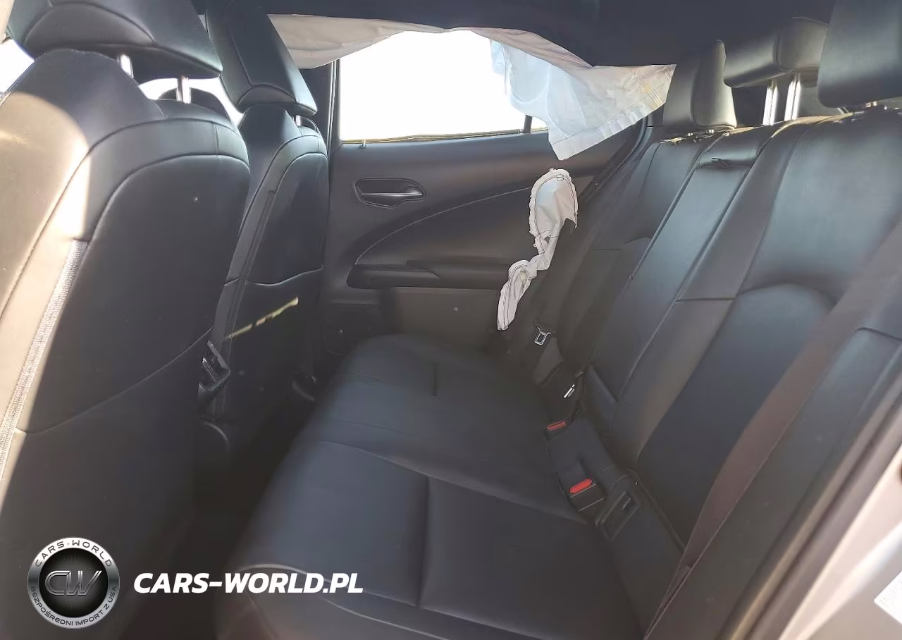 2019 Lexus Ux 250H VIN:JTHU9JBH3K2004436 - 10