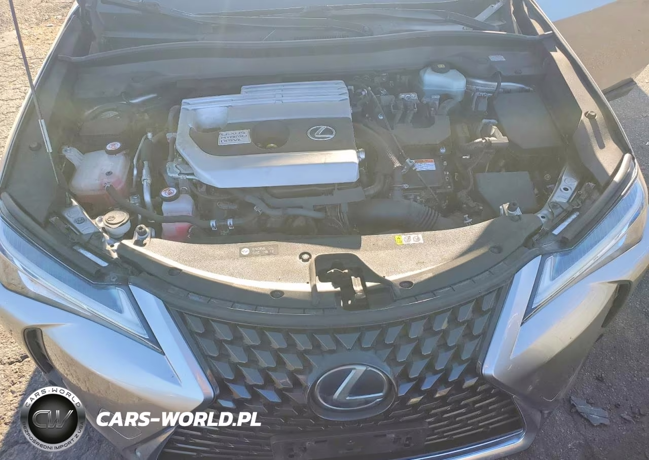 2019 Lexus Ux 250H VIN:JTHU9JBH3K2004436 - 11
