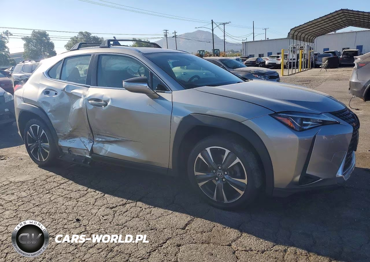 2019 Lexus Ux 250H VIN:JTHU9JBH3K2004436 - 4