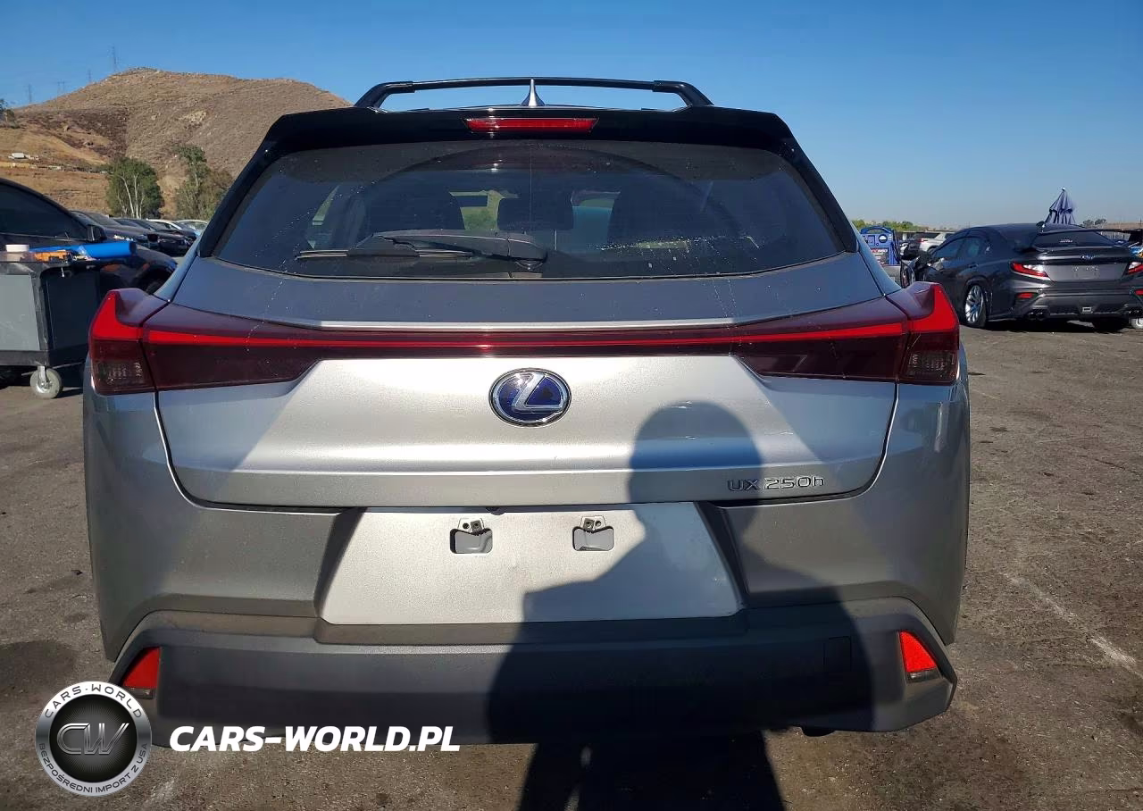 2019 Lexus Ux 250H VIN:JTHU9JBH3K2004436 - 6