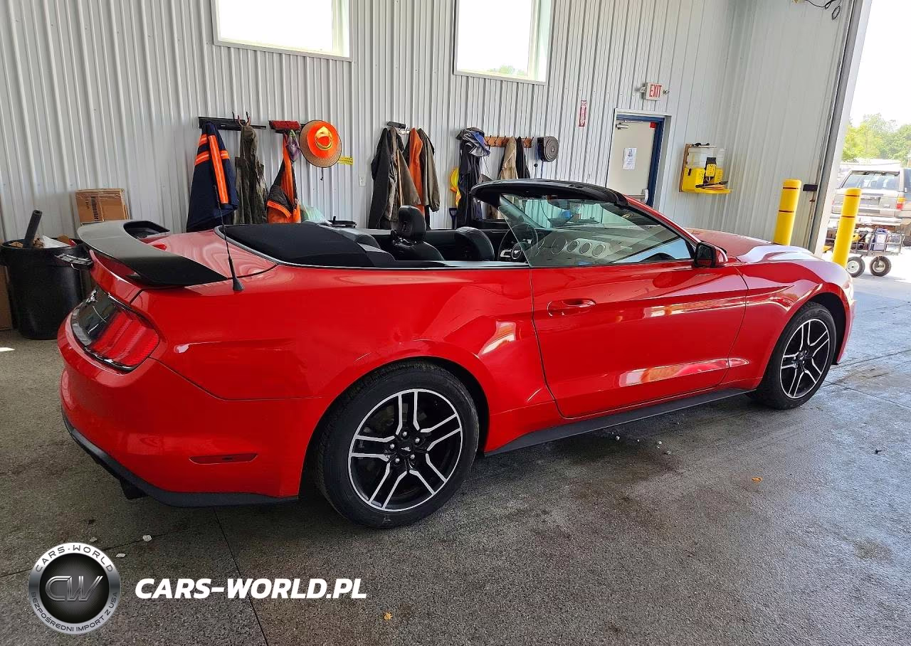 2021 Ford Mustang VIN:1FATP8UH1M5105748 - 3