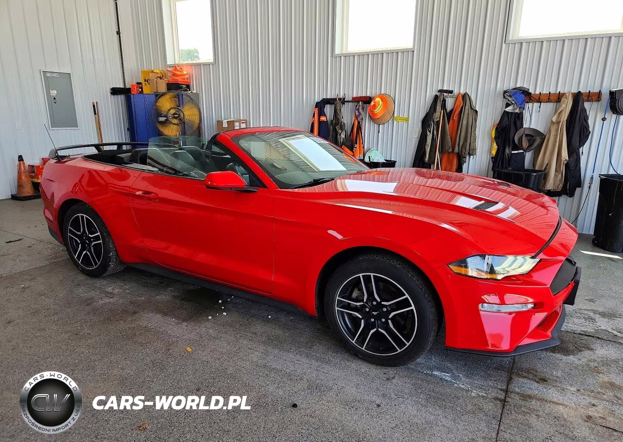2021 Ford Mustang VIN:1FATP8UH1M5105748 - 4