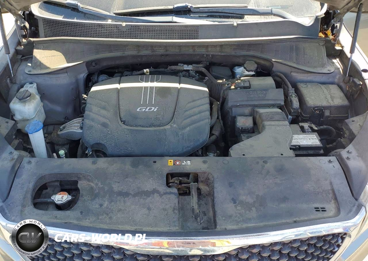 2017 Kia Sorento Lx V6 VIN:5XYPG4A58HG196089 - 12