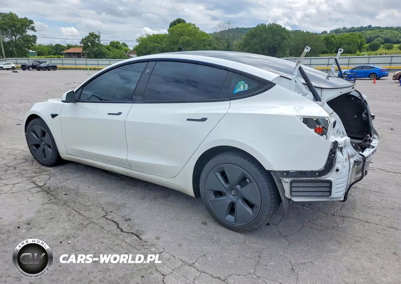 2023 Tesla Model 3 VIN:5YJ3E1EB5PF388143 - 2