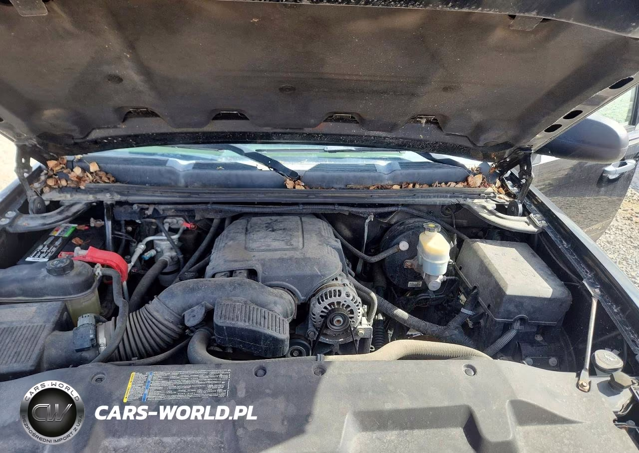 2009 Chevrolet Silverado K1500 Lt VIN:1GCEK29C69Z244298 - 11